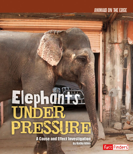 Elephants Under Pressure : A Cause and Effect Investigation
