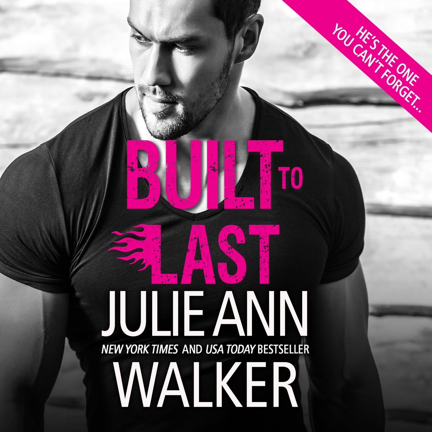 Built to Last : Black Knights Inc., Book 12