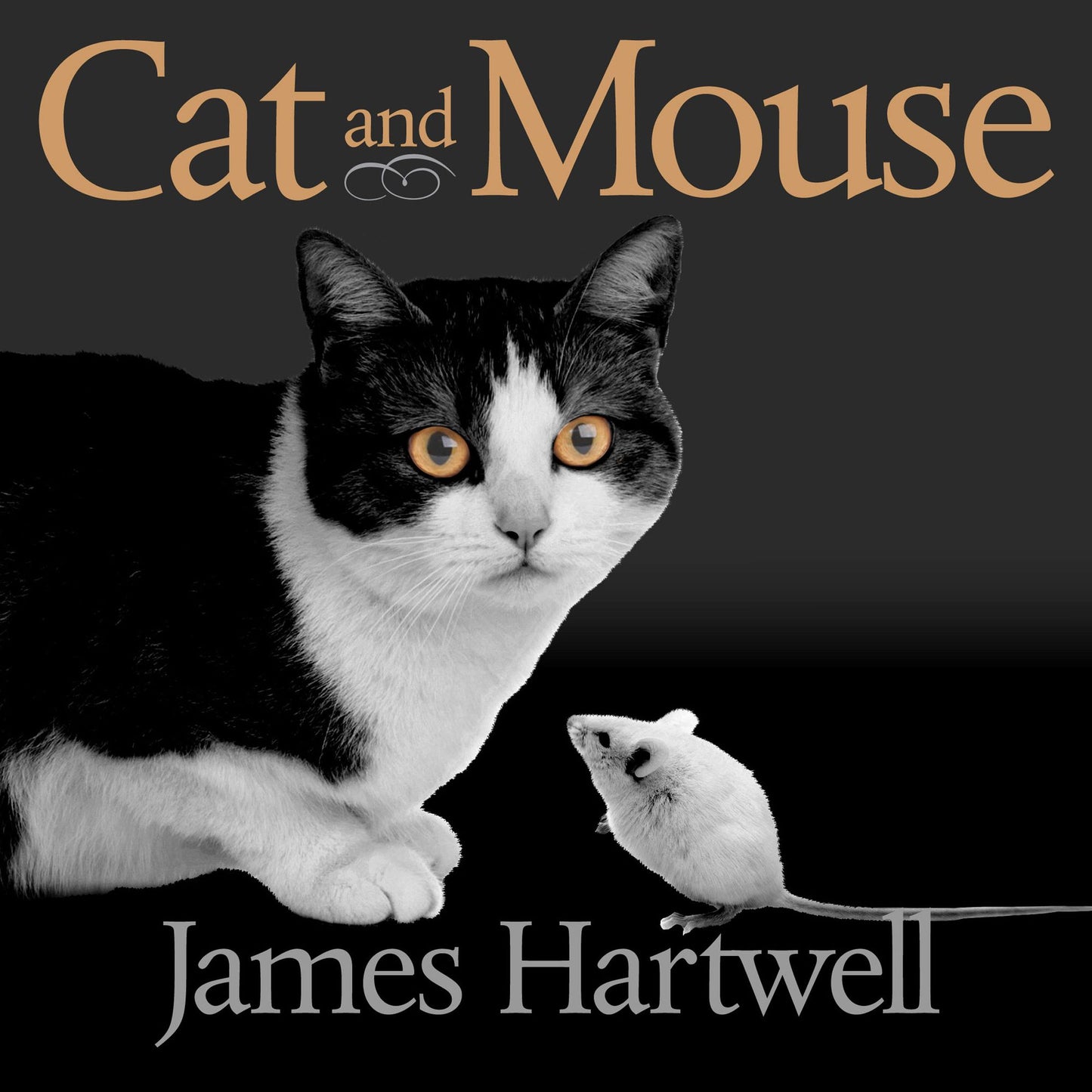 Cat and Mouse: Book of Persian Fairy Tales