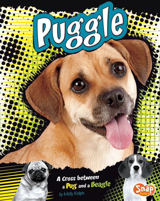 Puggle : A Cross Between a Pug and a Beagle