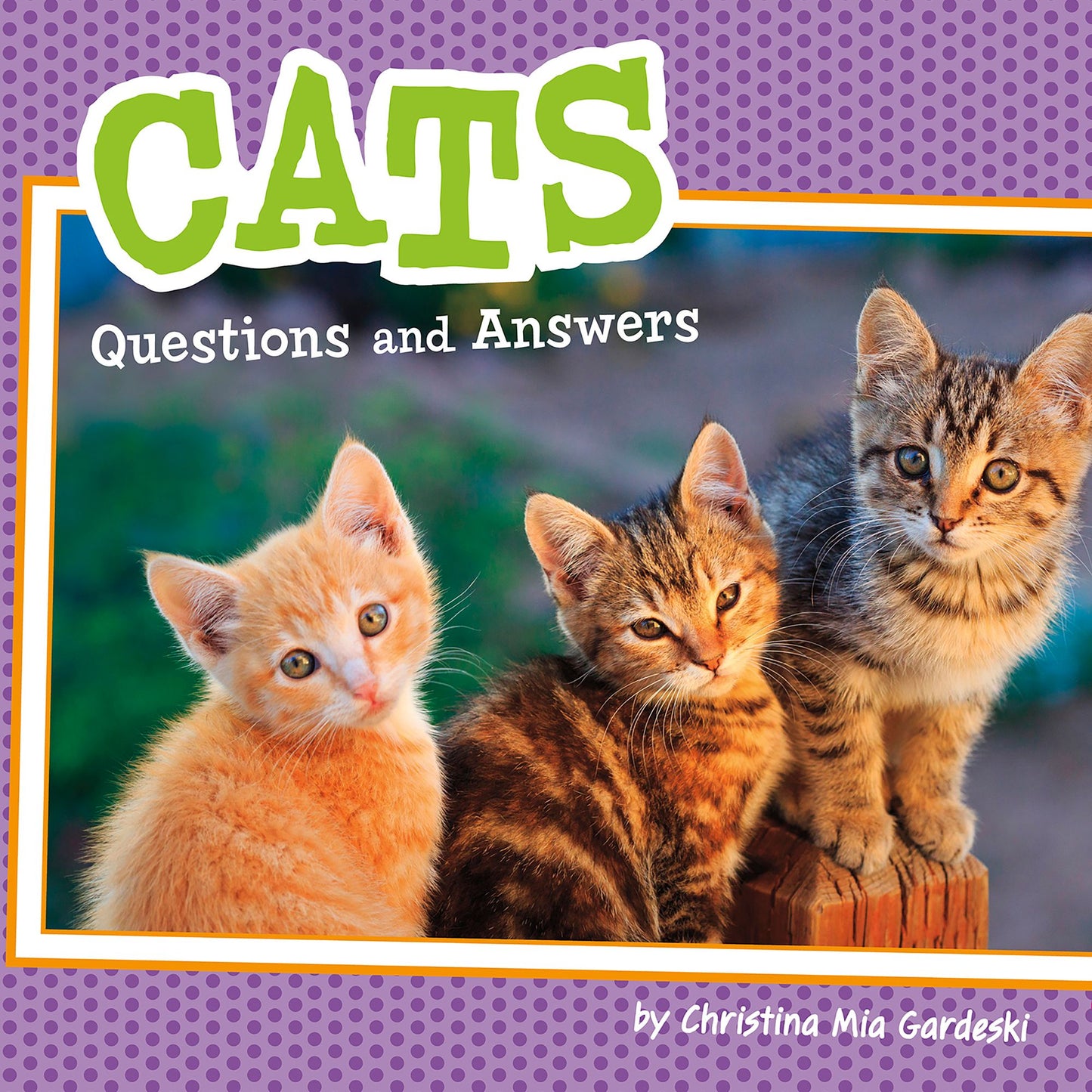 Cats : Questions and Answers
