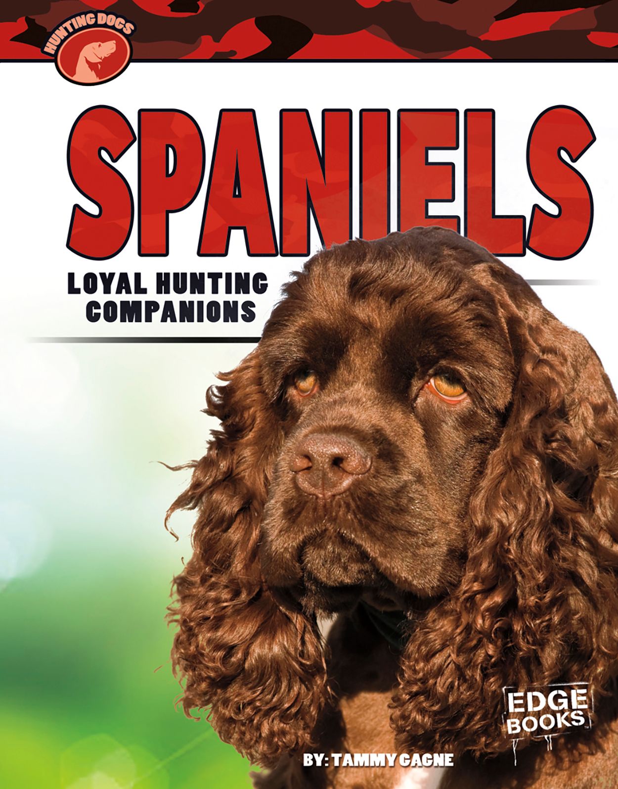 Spaniels : Loyal Hunting Companions