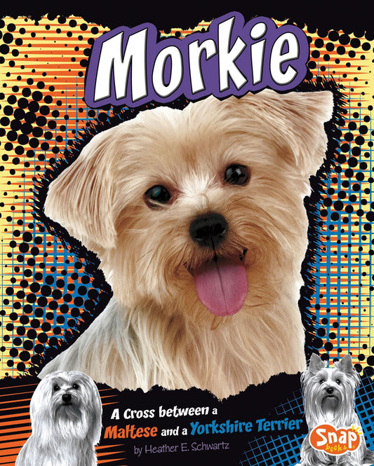 Morkie : A Cross Between a Maltese and a Yorkshire Terrier