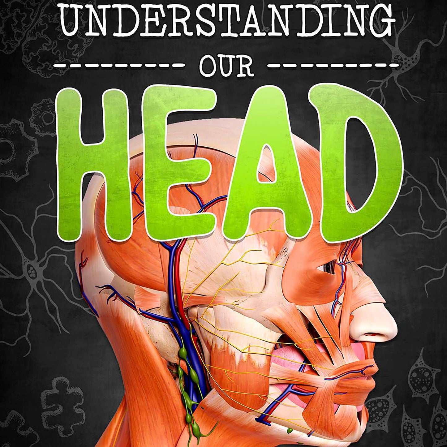 Understanding Our Head