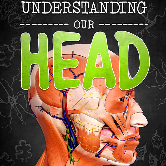Understanding Our Head