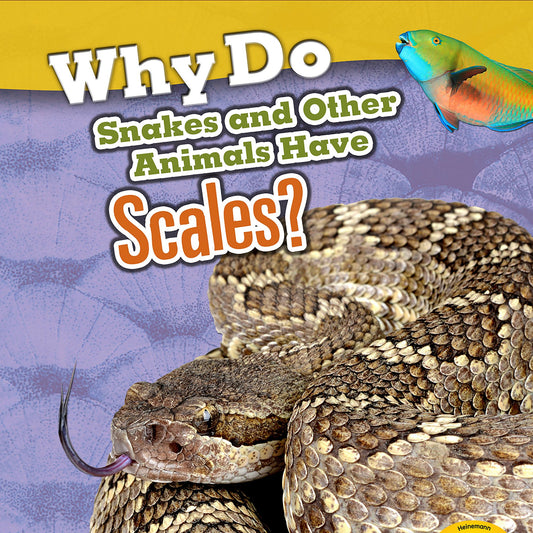 Why Do Snakes and Other Animals Have Scales?
