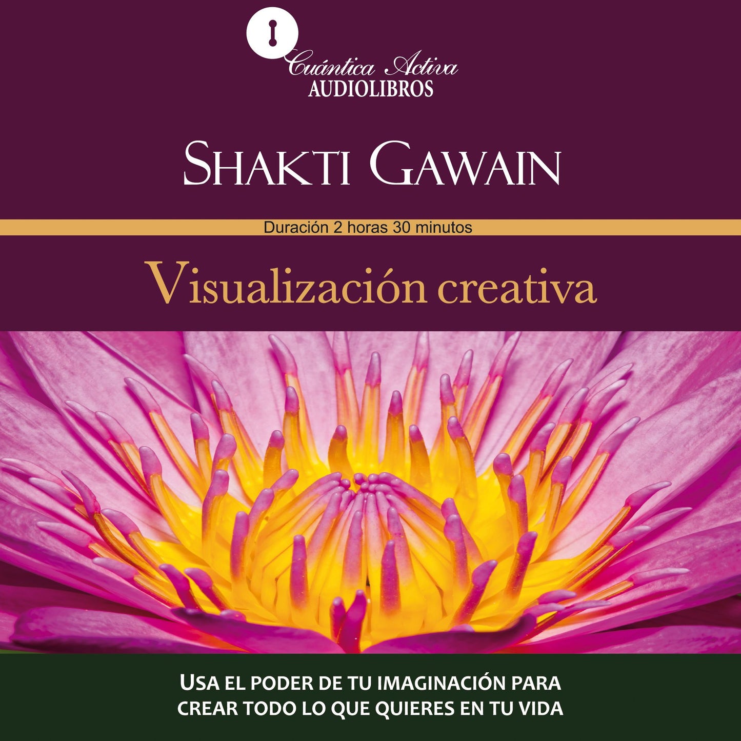 Visualizacion Creativa : Usa el poder de tu imaginación para crear todo lo que quieres en tu vida