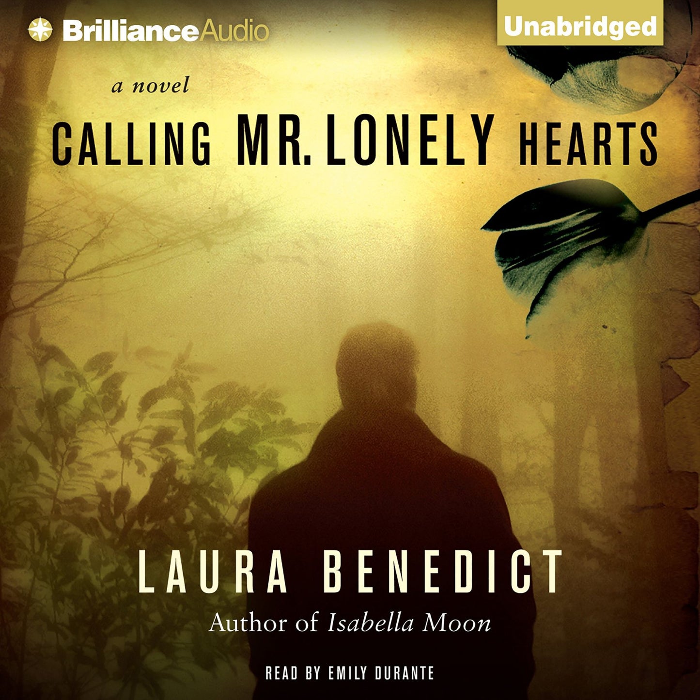 Calling Mr. Lonely Hearts: A Novel