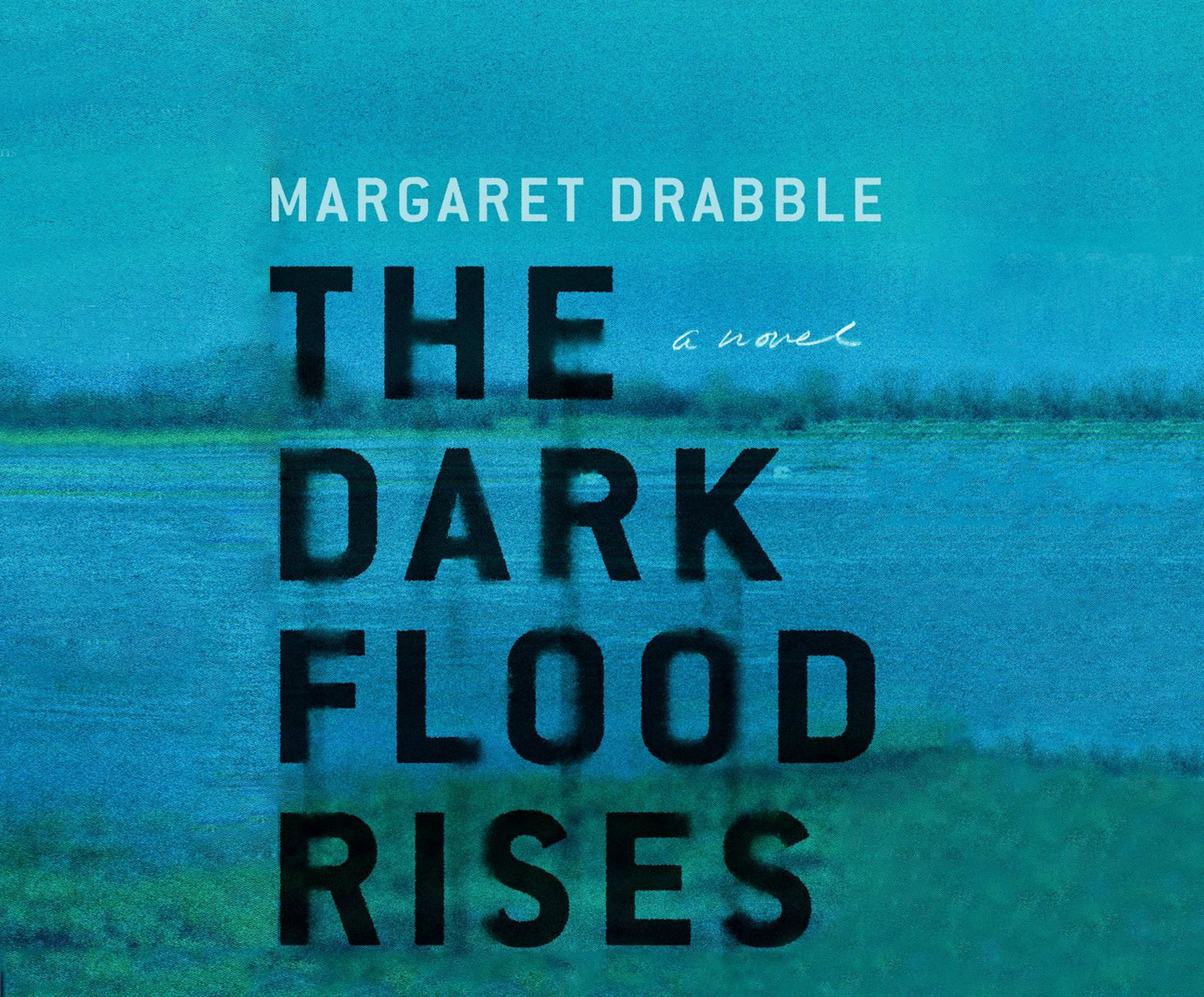 The Dark Flood Rises: A Novel