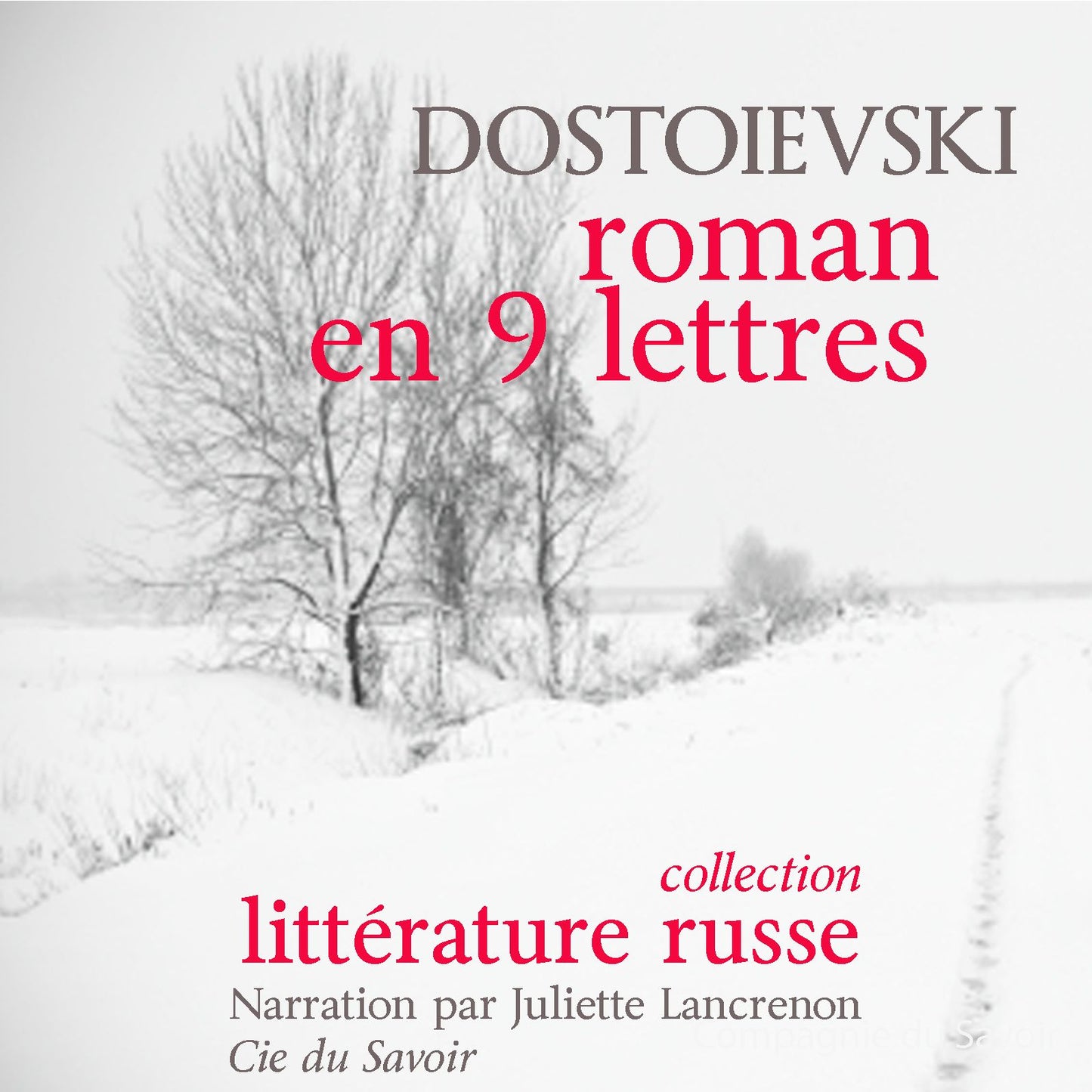 Un roman en neuf lettres : Chefs d'¿uvre de littérature russe