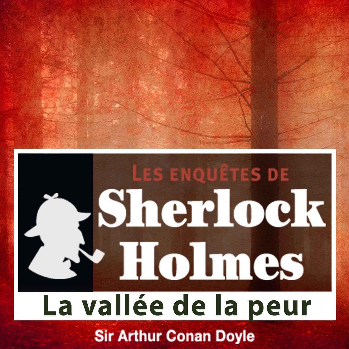 La vallÃ©e de la peur: Les aventures de Sherlock Holmes