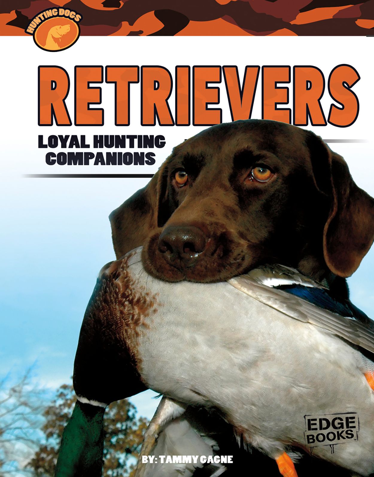 Retrievers : Loyal Hunting Companions