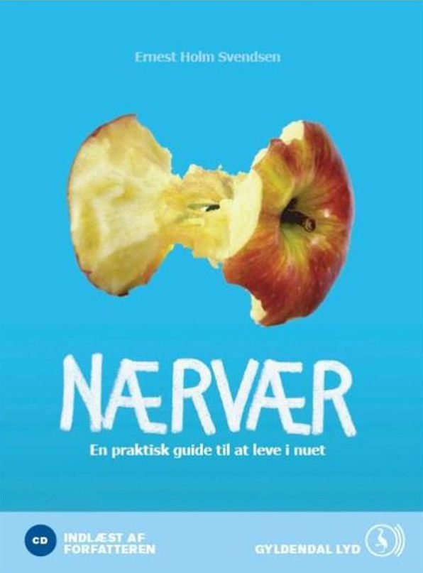 NÃ¦rvÃ¦r, En praktisk guide til at leve i nuet