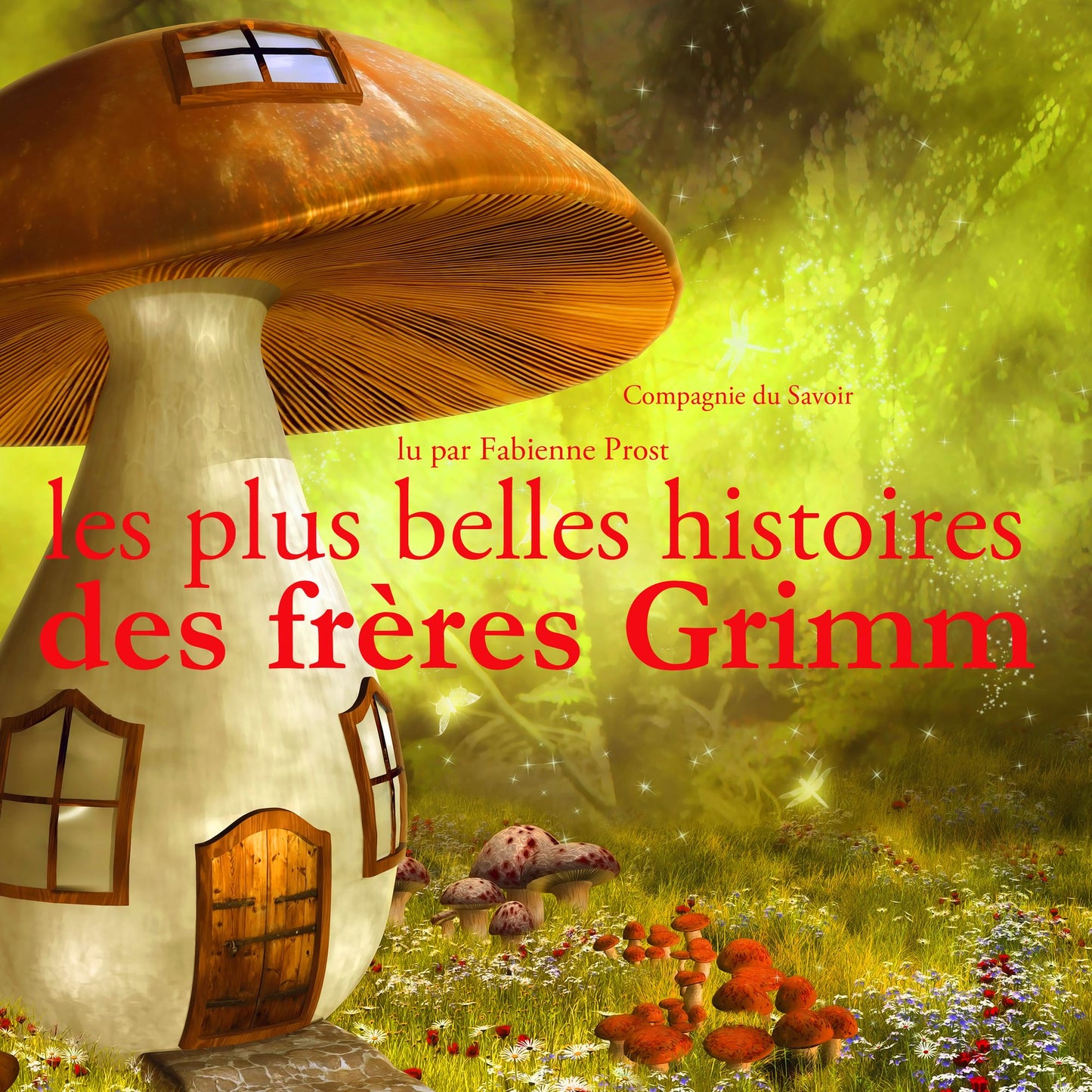 Les plus belles histoires des frÃ¨res Grimm