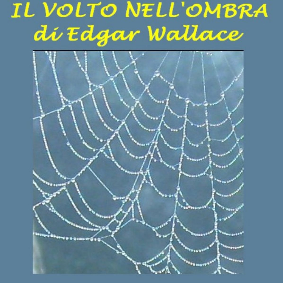 Volto nell'ombra, Il