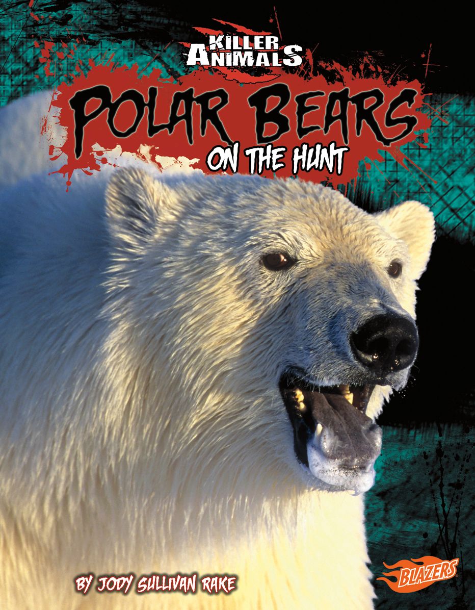 Polar Bears : On the Hunt