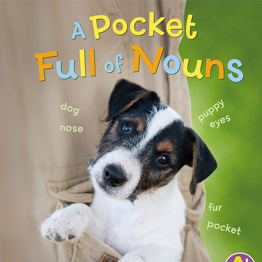 A Pocket Full of Nouns