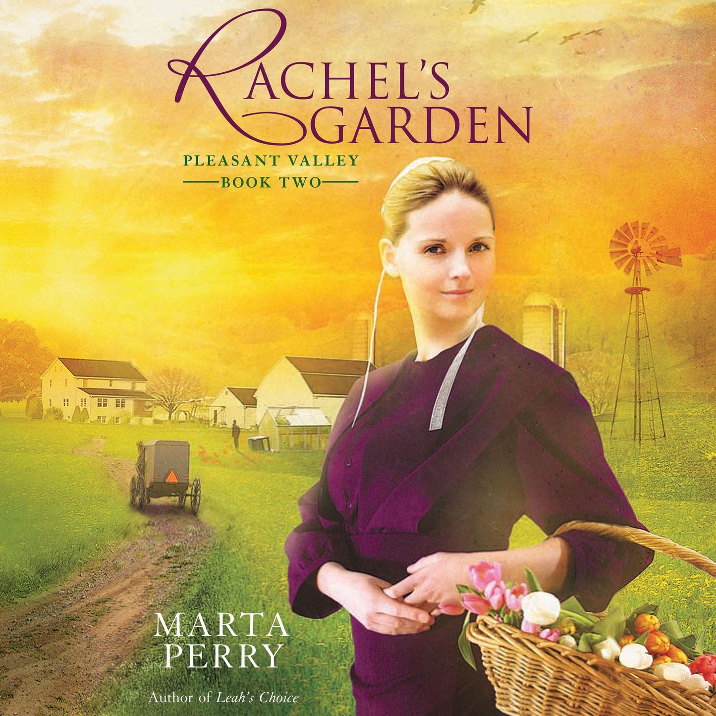 Rachel's Garden: Pleasant Valley Book Two