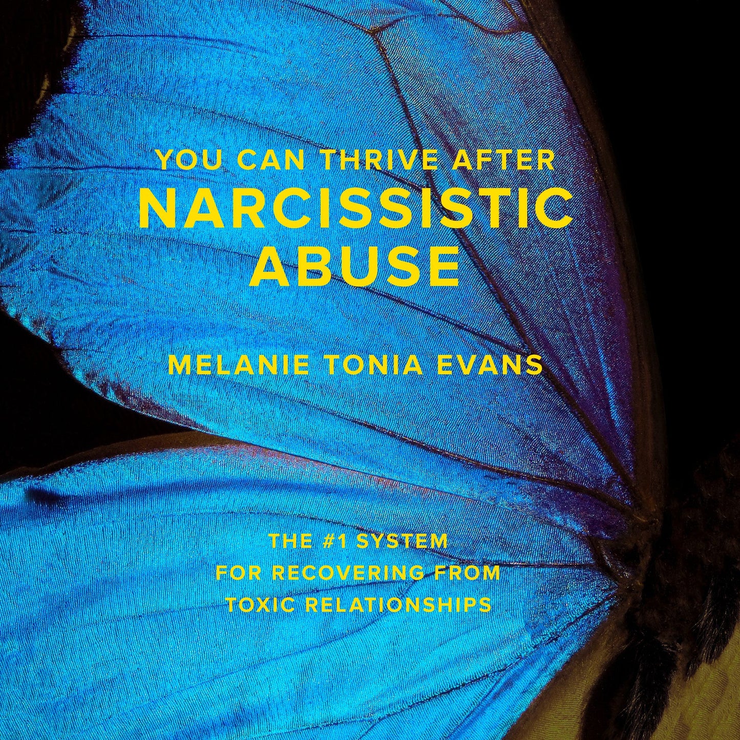 You Can Thrive After Narcissistic Abuse: The #1 System for Recovering from Toxic Relationships