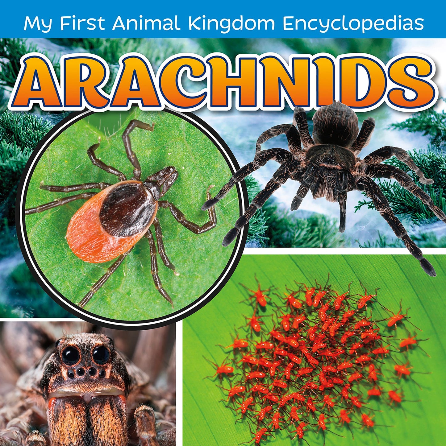 Arachnids