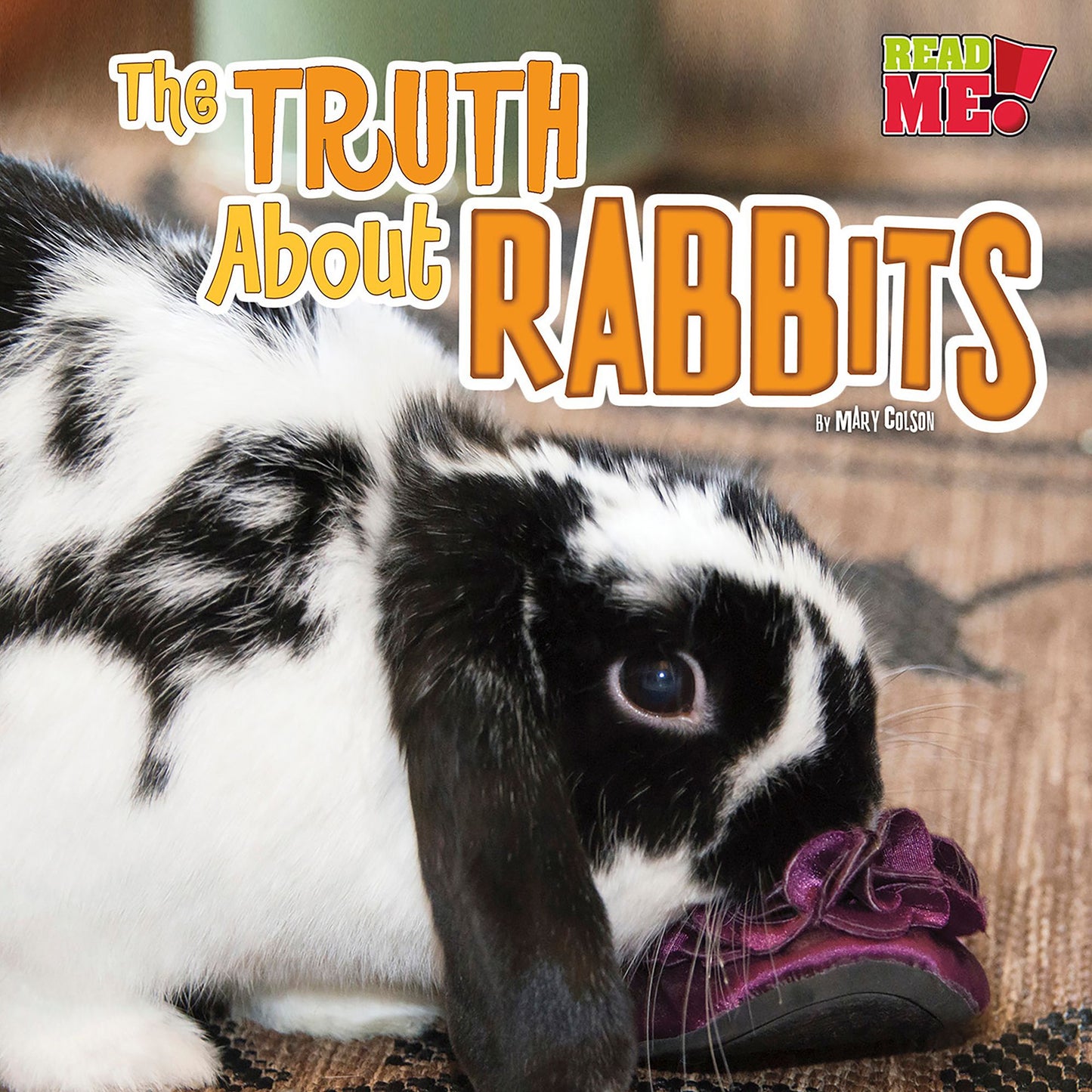 The Truth about Rabbits: What Rabbits Do When You're Not Looking