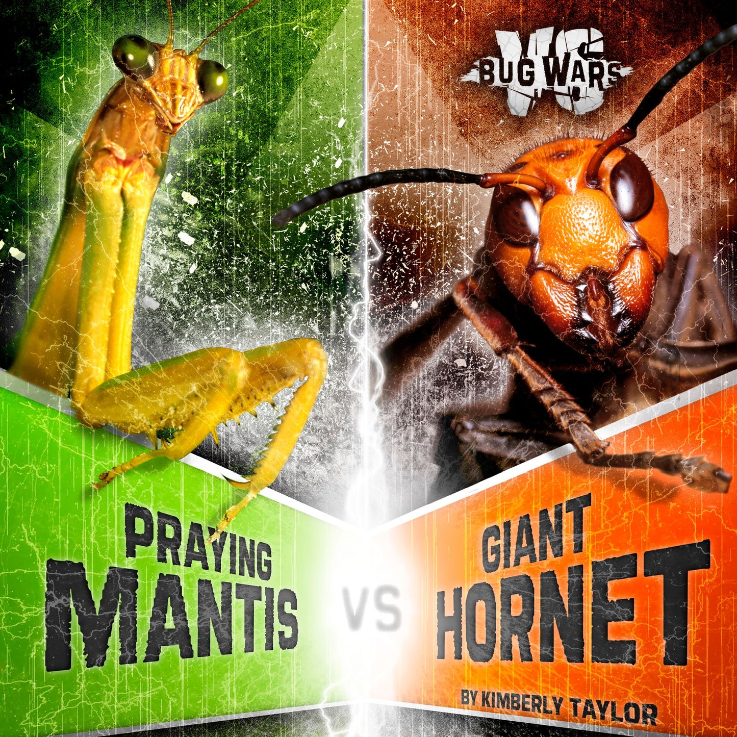 Praying Mantis vs. Giant Hornet: Battle of the Powerful Predators
