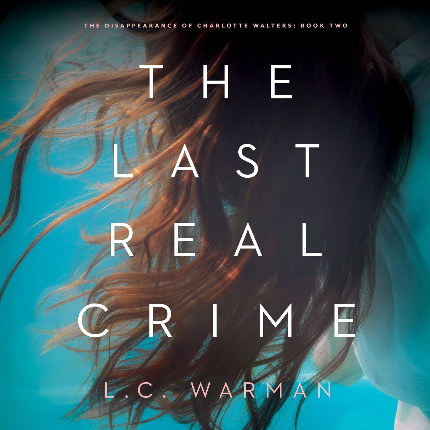 The Last Real Crime