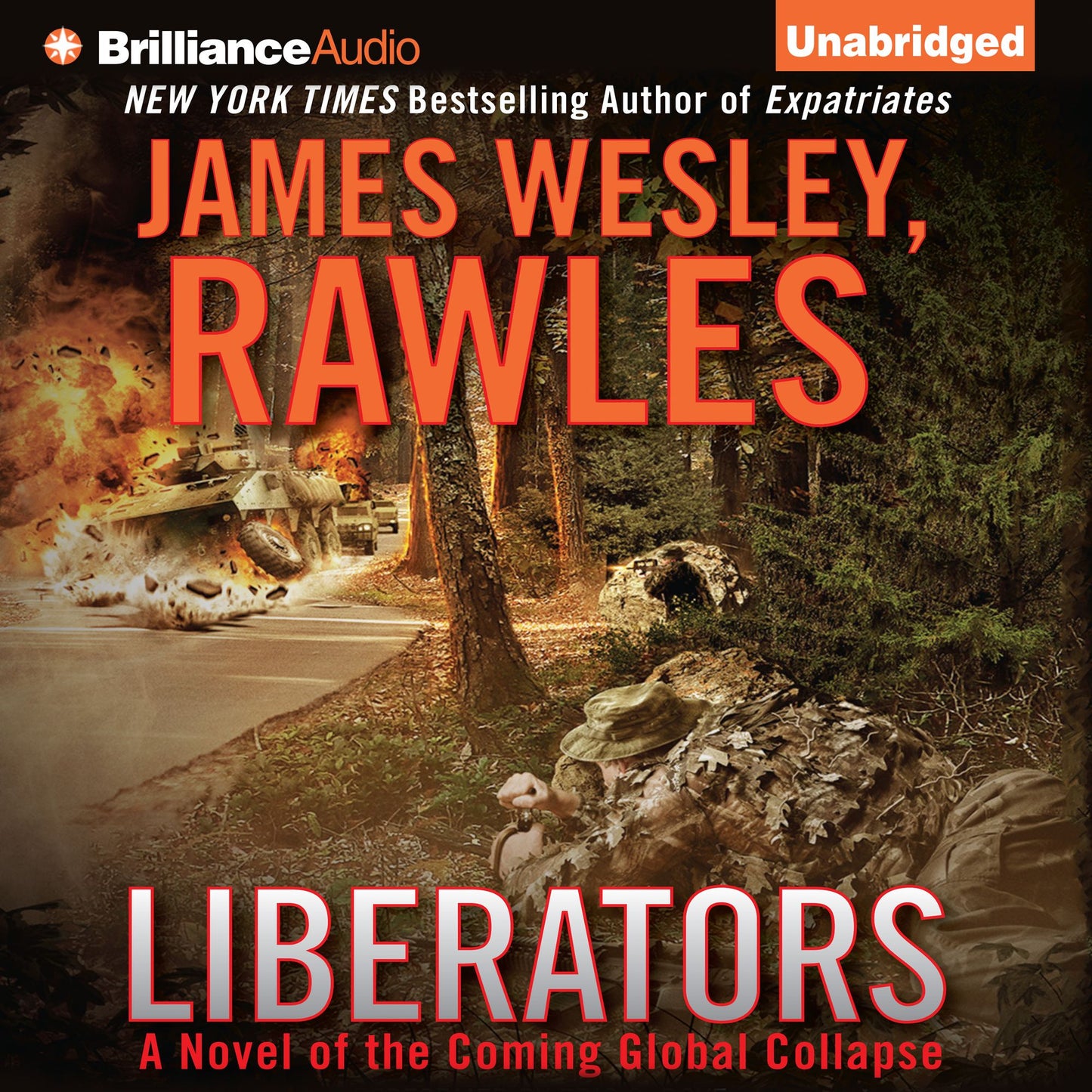 Liberators: A Novel of the Coming Global Collapse