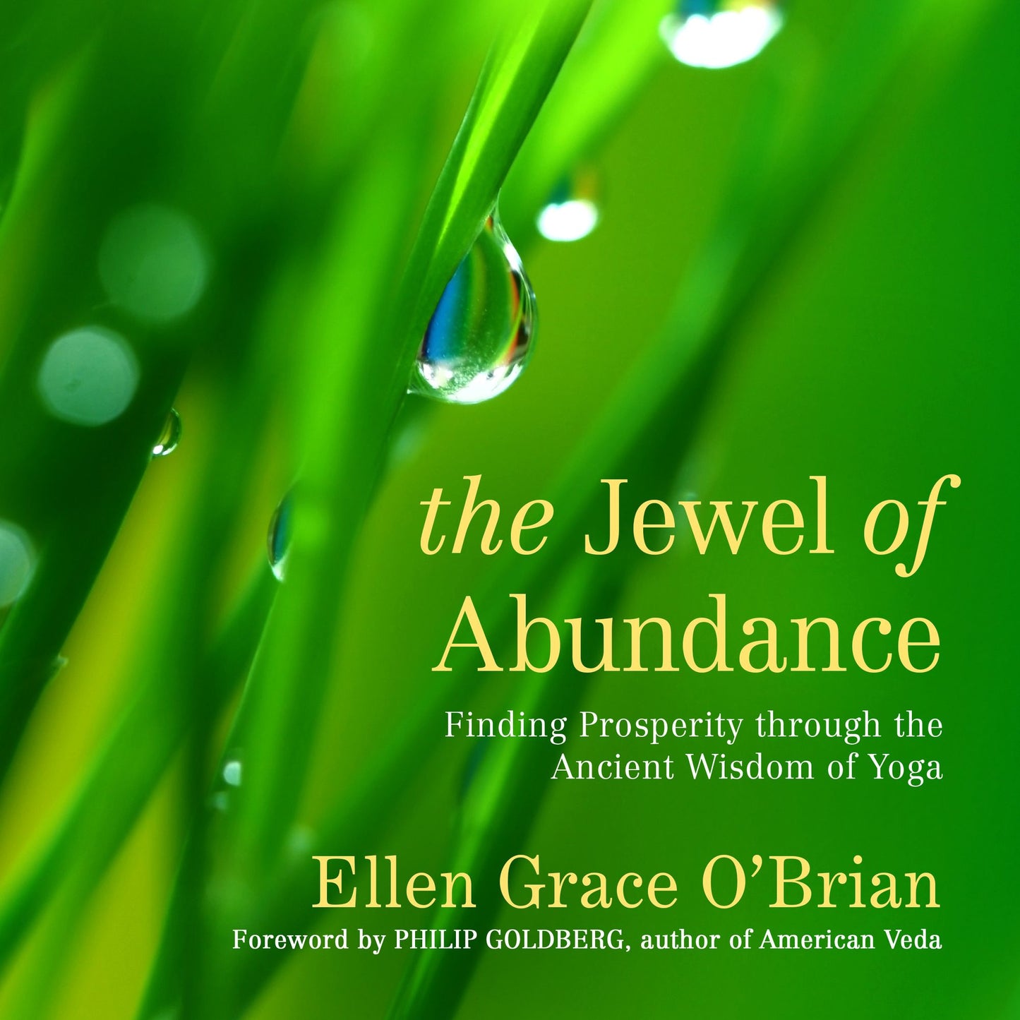 The Jewel of Abundance: Finding Prosperity through the Ancient Wisdom of Yoga