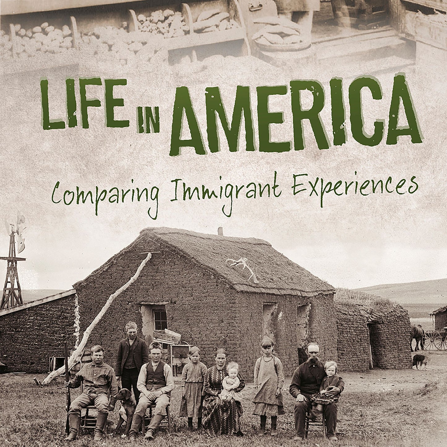 Life in America: Comparing Immigrant Experiences