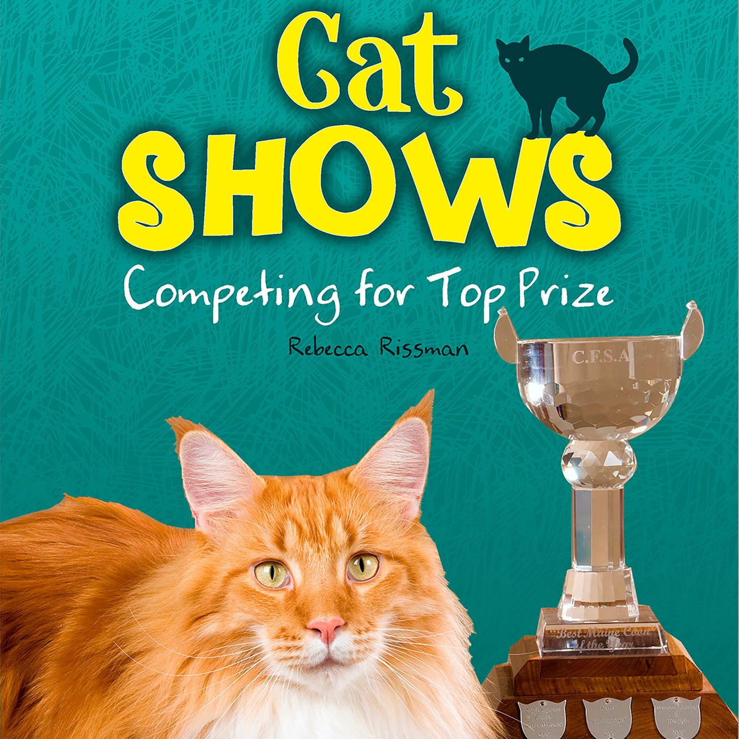 Cat Shows: Competing for Top Prize
