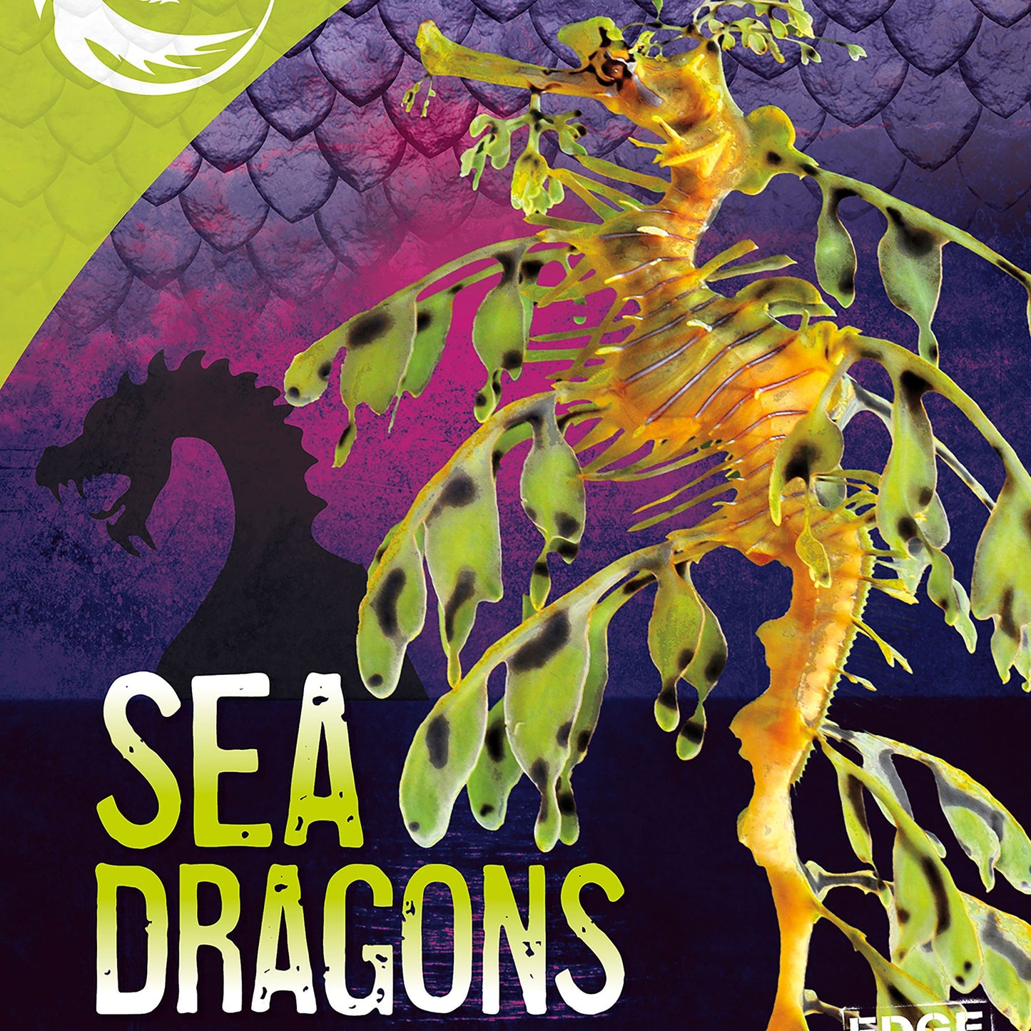 Sea Dragons