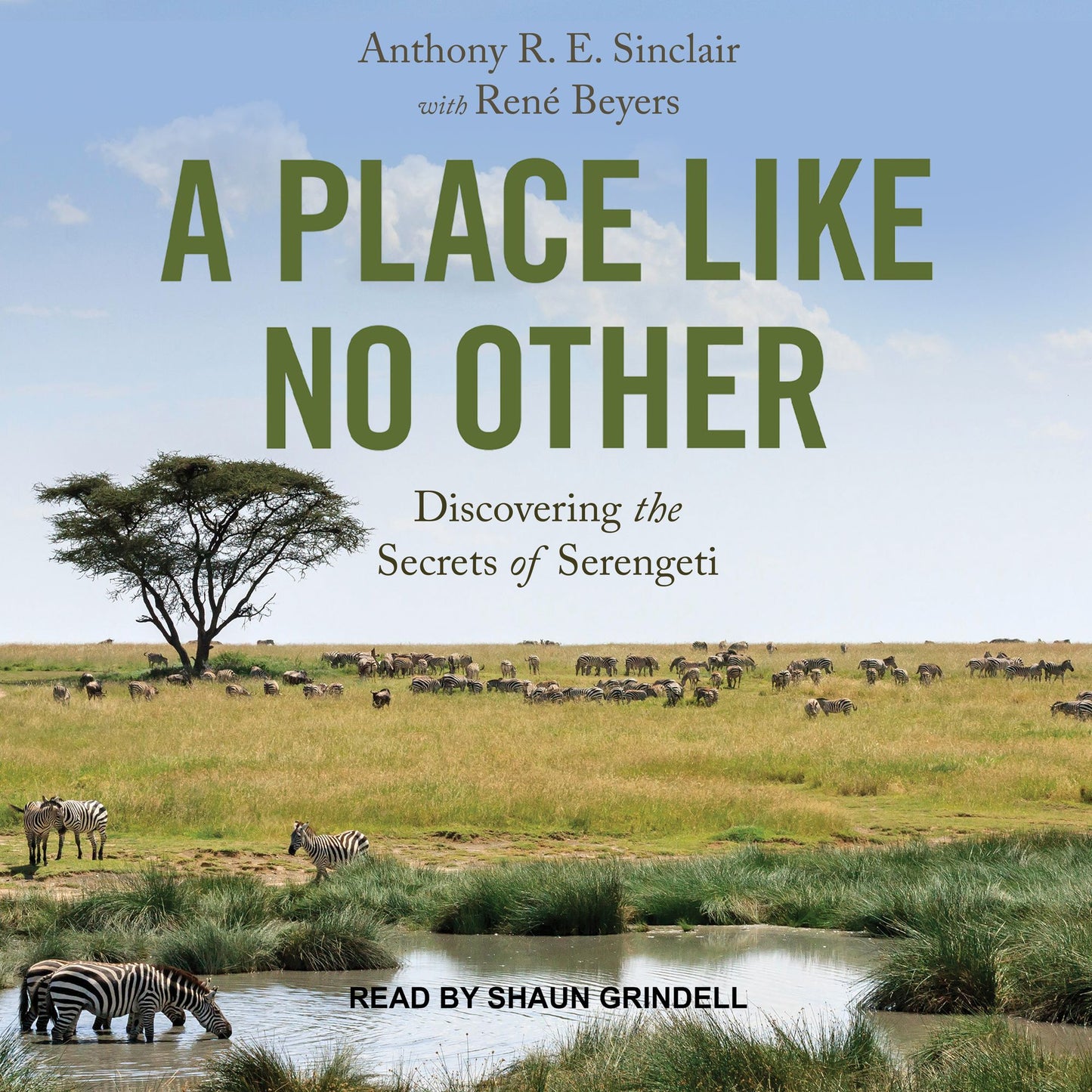 A Place Like No Other : Discovering the Secrets of Serengeti