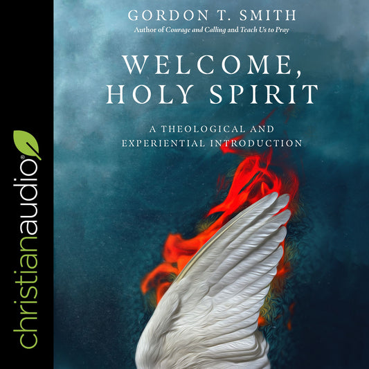 Welcome Holy Spirit : A Theological and Experiential Introduction