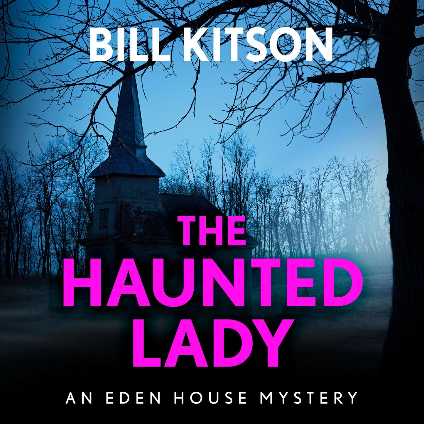 The Haunted Lady: The fifth book in a suspenseful and chilling mystery series (The Eden House Mysteries, Book Five)