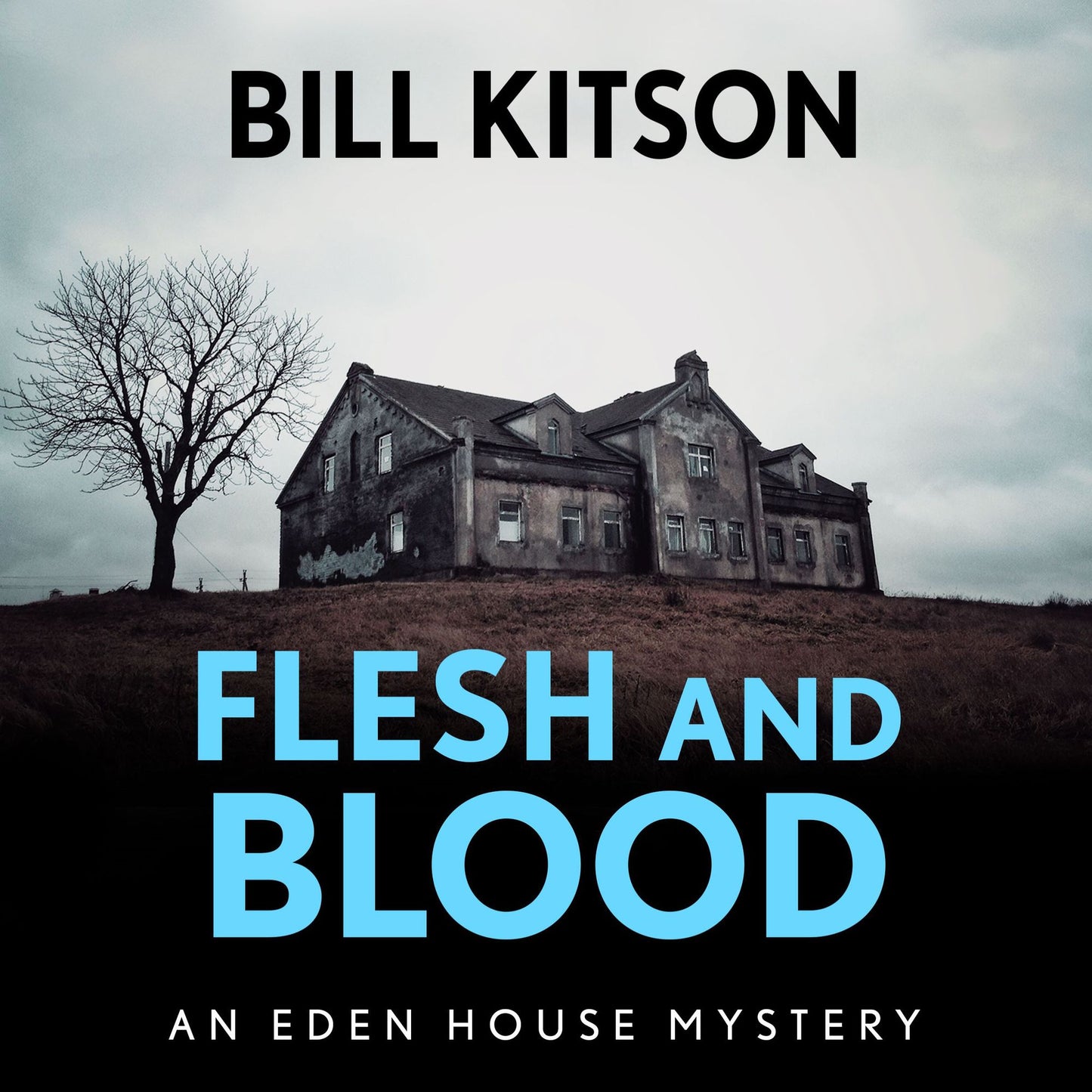 Flesh and Blood : The fourth book in a suspenseful and chilling mystery series (The Eden House Mysteries, Book Four)
