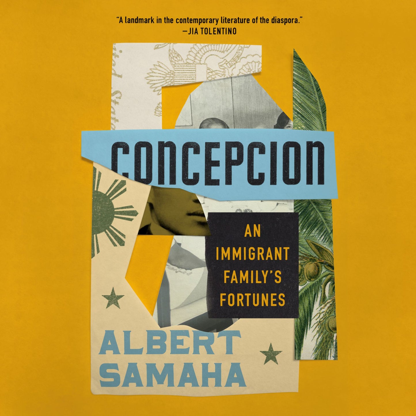 Concepcion : An Immigrant Family's Fortunes