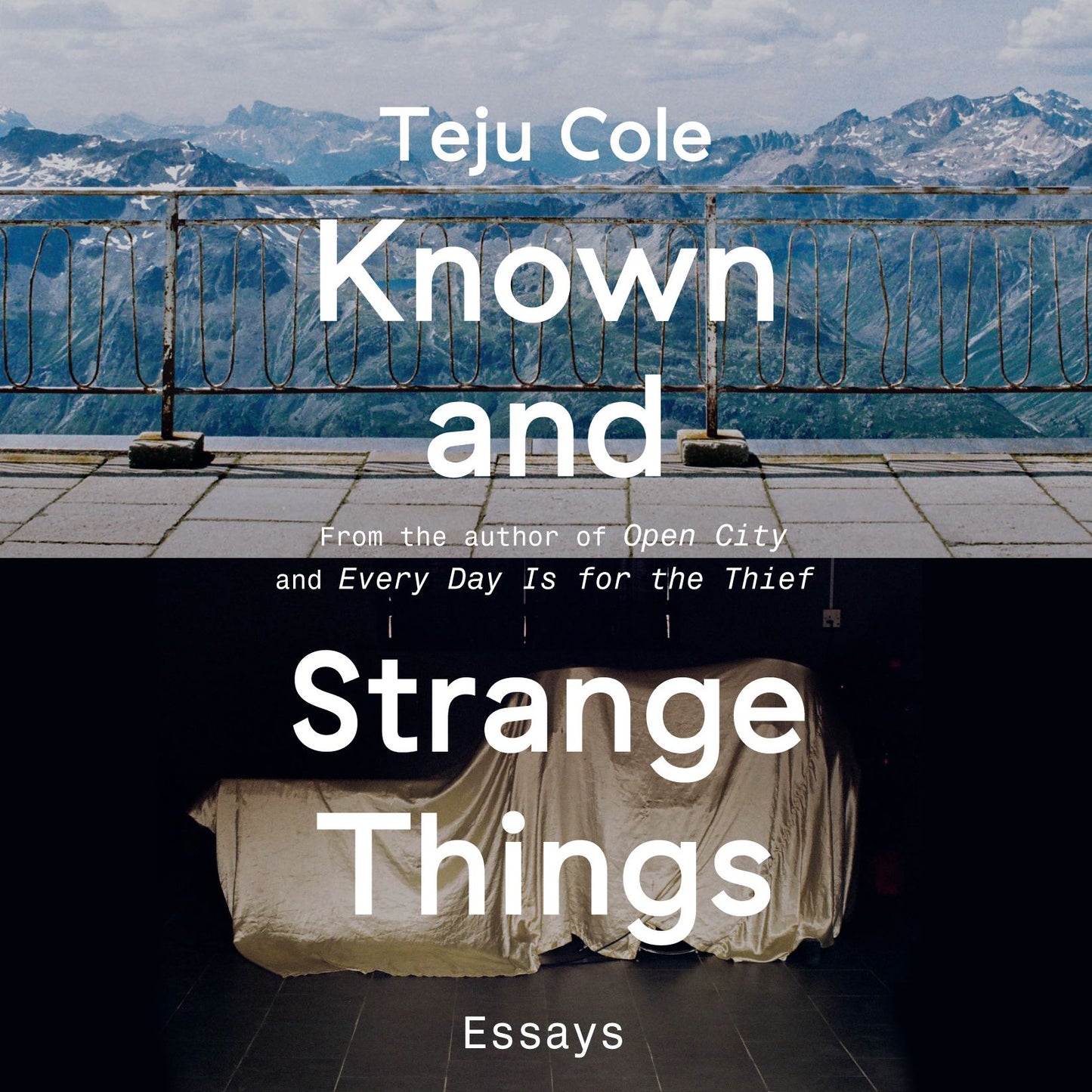 Known and Strange Things: Essays