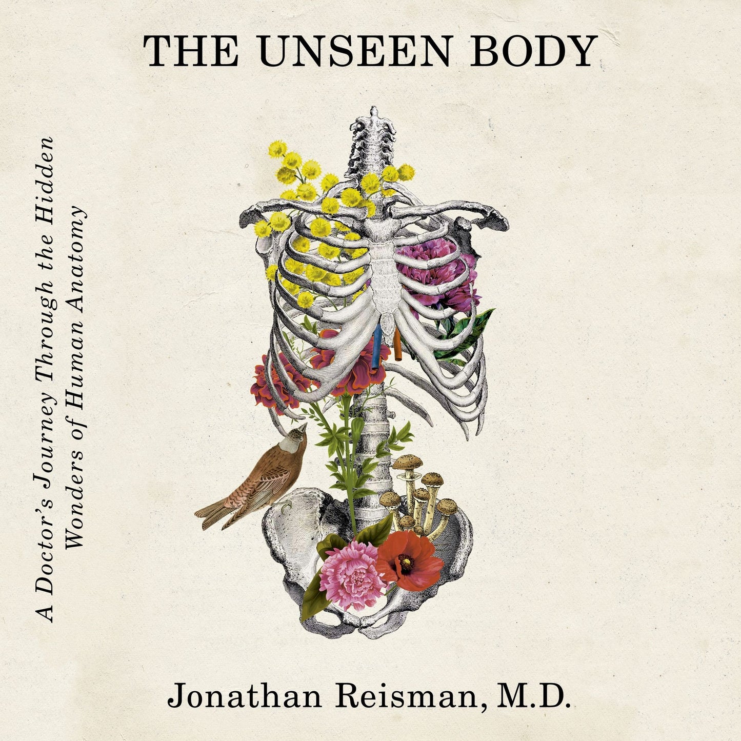 The Unseen Body: A Doctor's Journey Through the Hidden Wonders of Human Anatomy