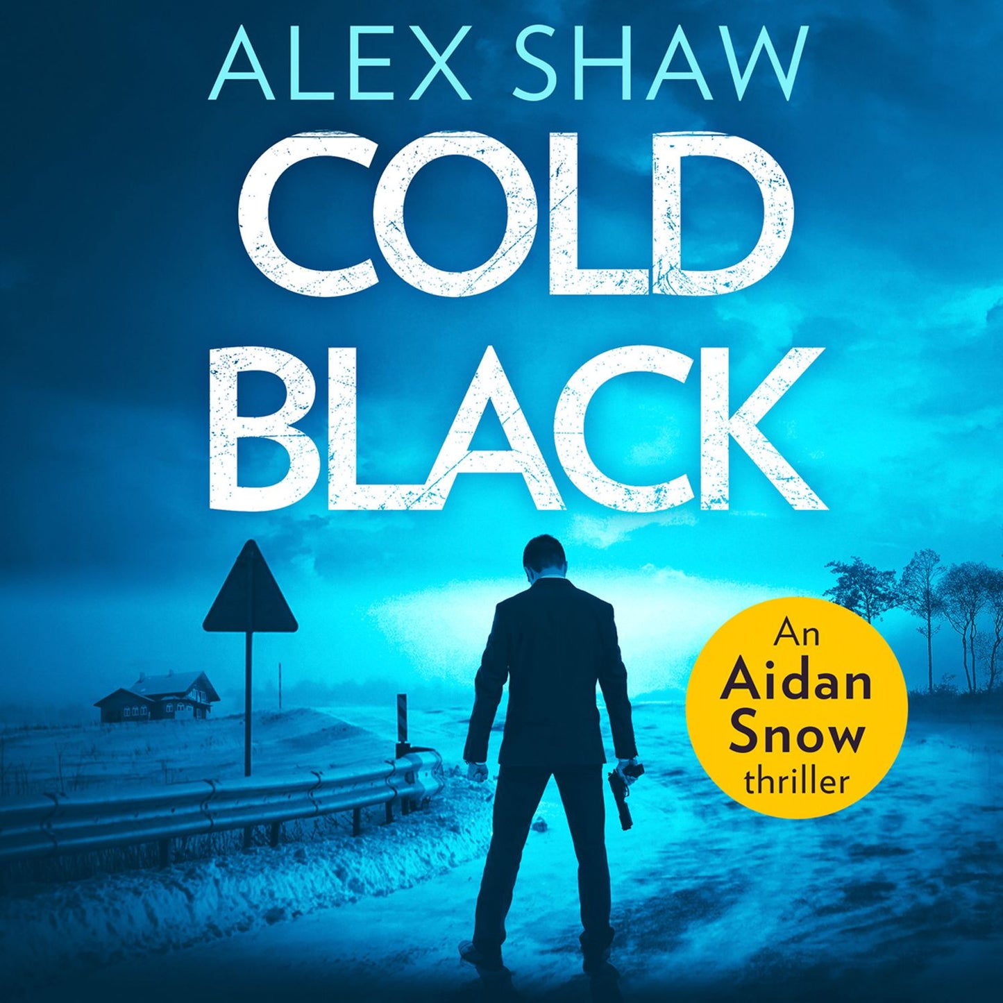 Cold Black (An Aidan Snow SAS Thriller, Book 2)