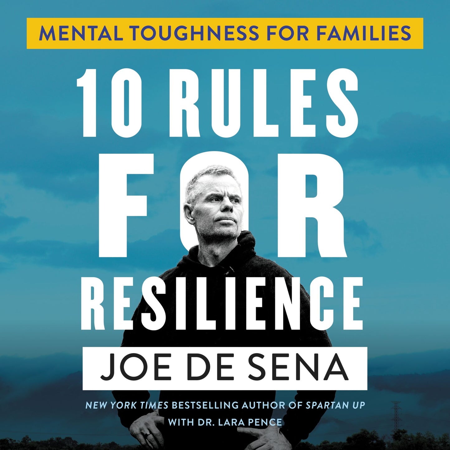 10 Rules for Resilience : Mental Toughness for Families
