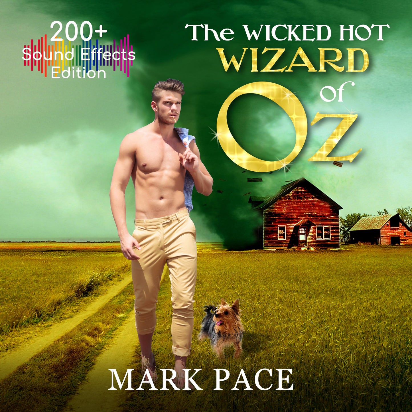 The Wicked Hot Wizard of Oz : Sound Effects Special Edition