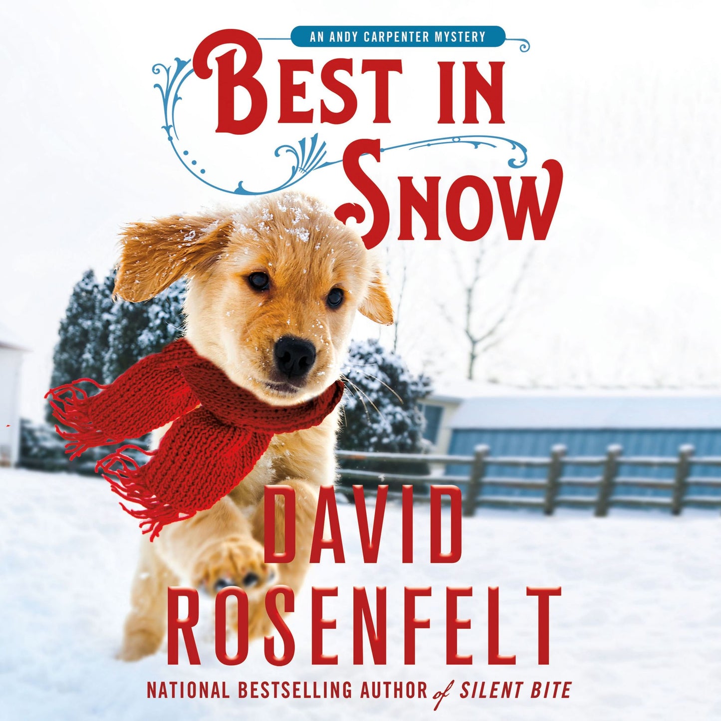 Best in Snow: An Andy Carpenter Mystery