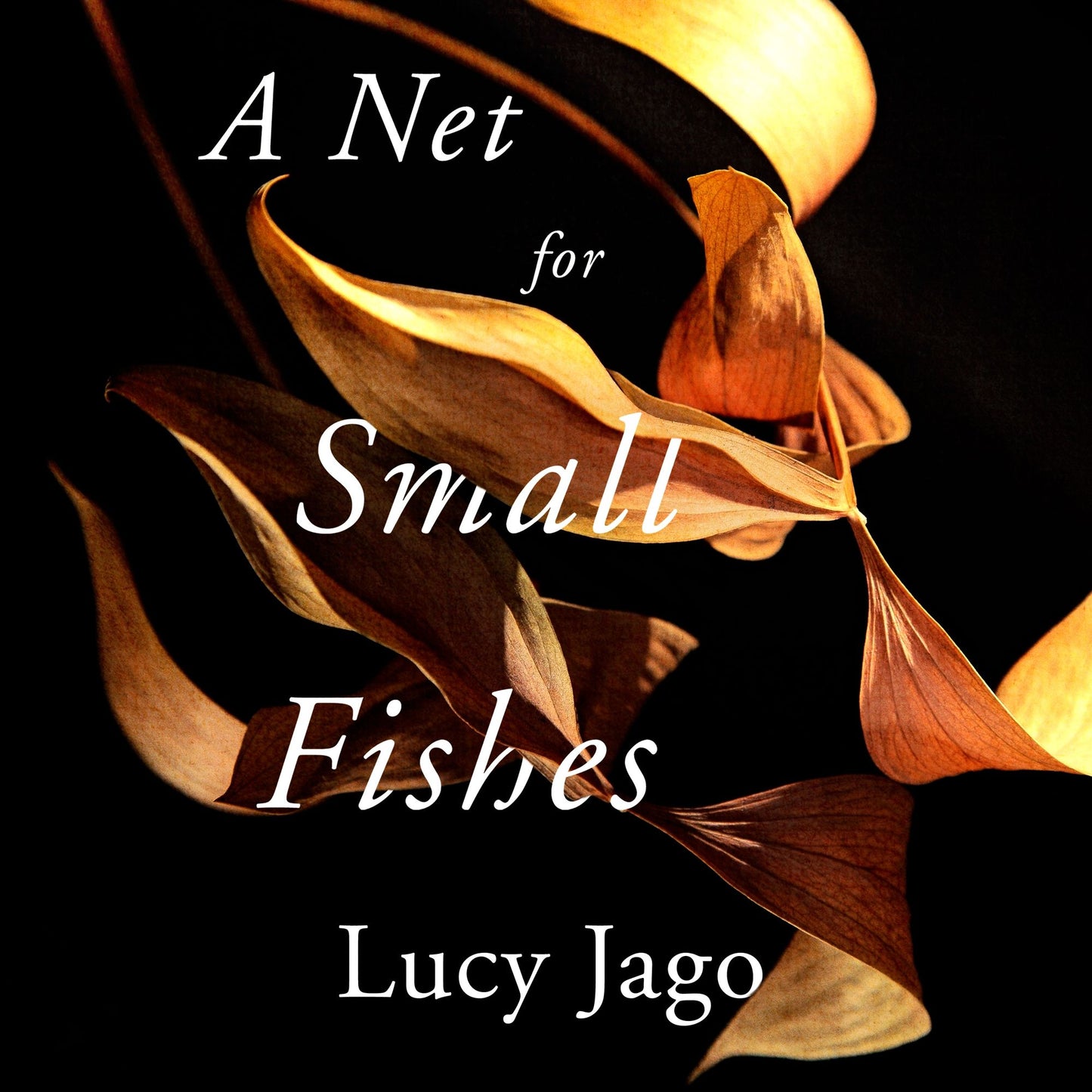 A Net for Small Fishes