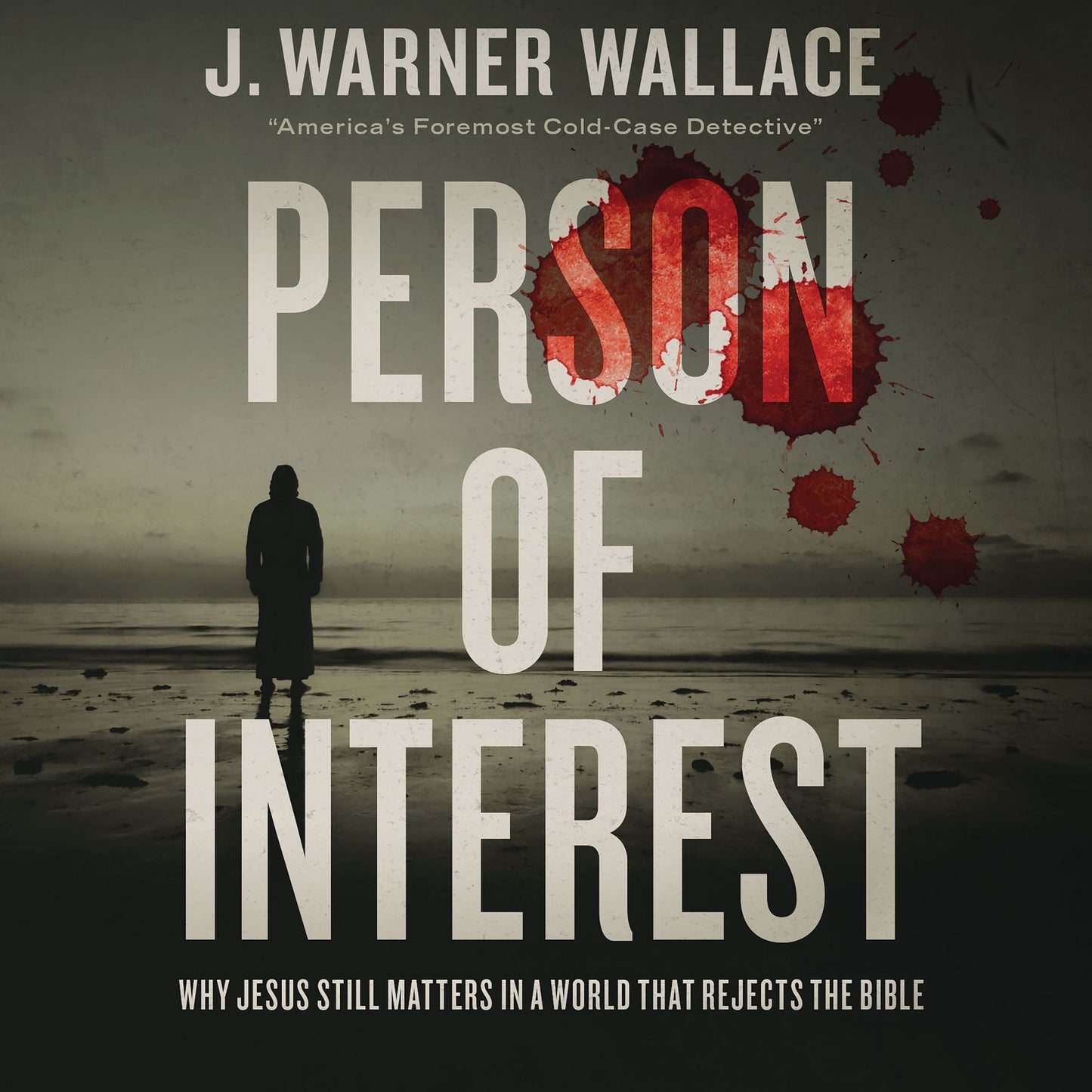 Person of Interest: Why Jesus Still Matters in a World that Rejects the Bible