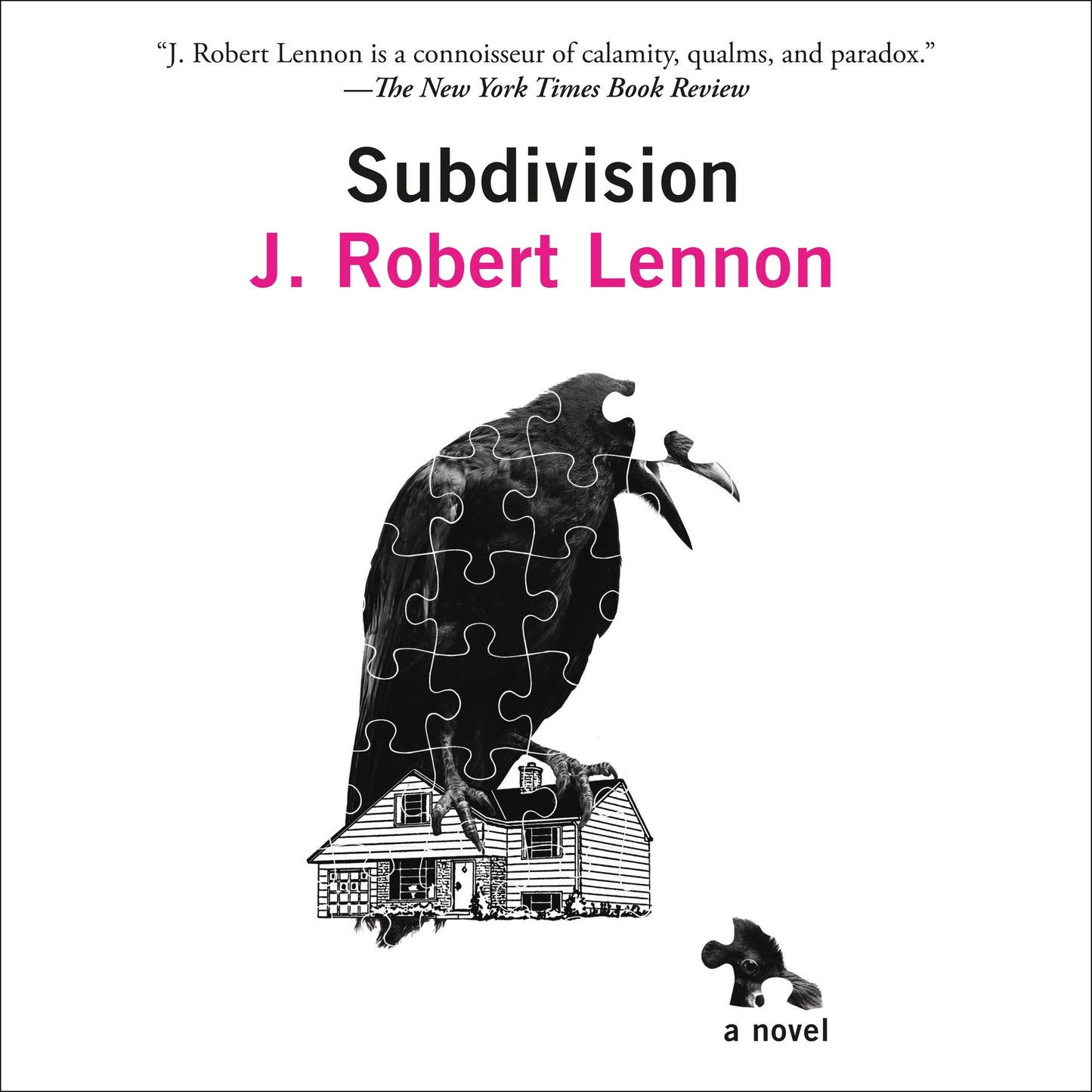Subdivision: A Novel