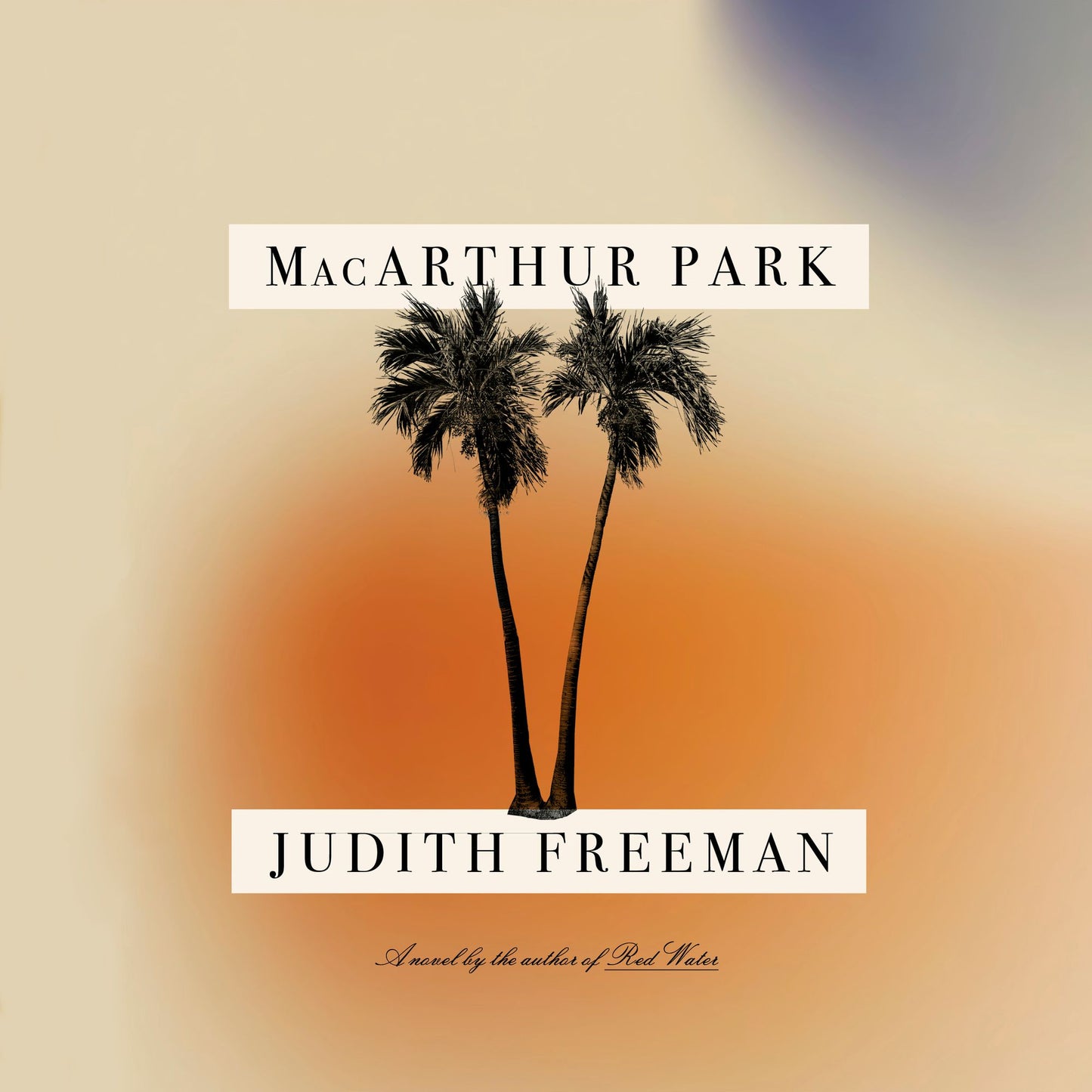 MacArthur Park : A Novel