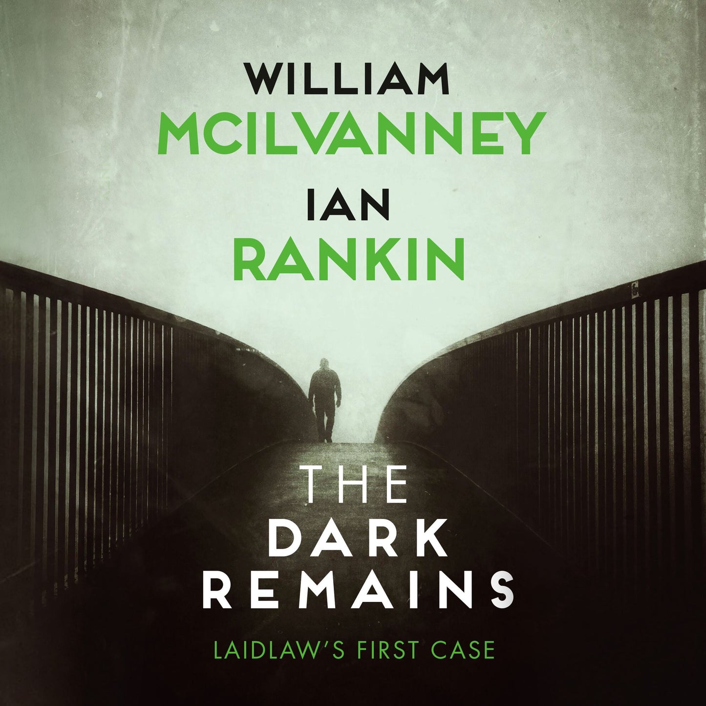 The Dark Remains : A Laidlaw Investigation