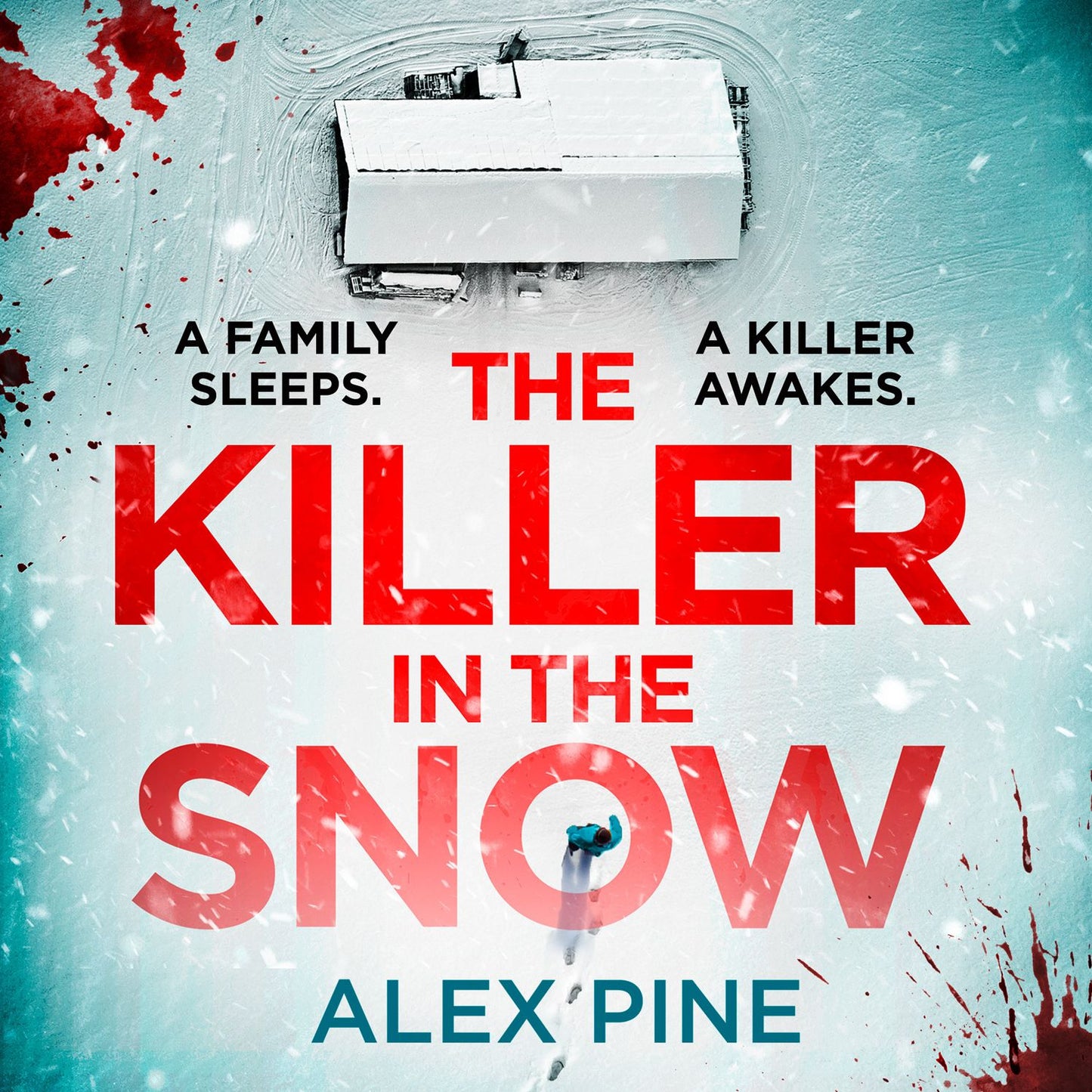 Killer in the Snow, The (DI James Walker series, Book 2)