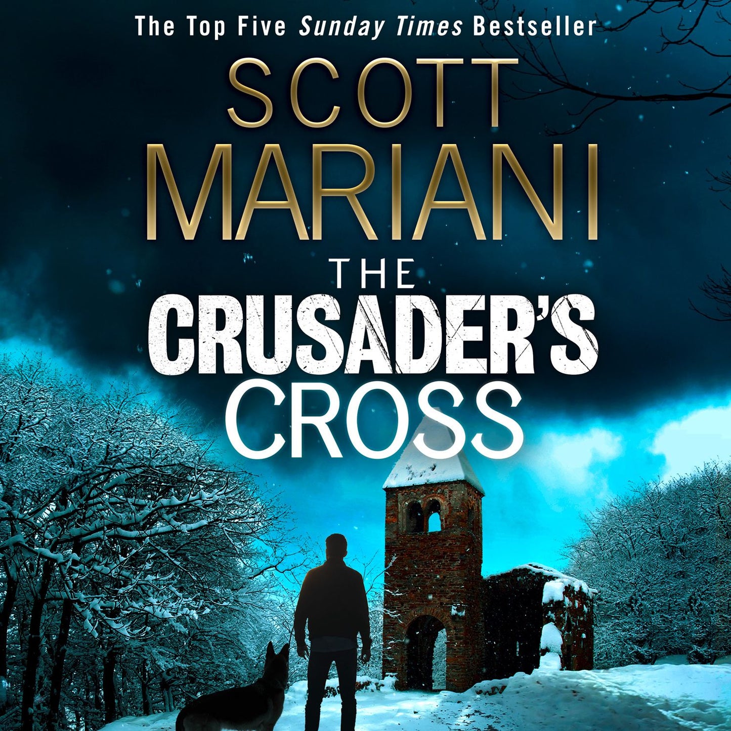 Crusader's Cross, The (Ben Hope, Book 24)